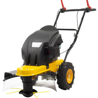 TEXAS PRO TRIM 600TR ΤΕΤΡΑΧΡΟΝΟ ΒΕΝΖΙΝΟΚΙΝΗΤΟ