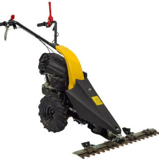 TEXAS CB8700 ΤΕΤΡΑΧΡΟΝΟ ΧΟΡΤΟΚΟΠΤΙΚΟ